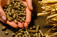 free Craignant biomass boiler quotes